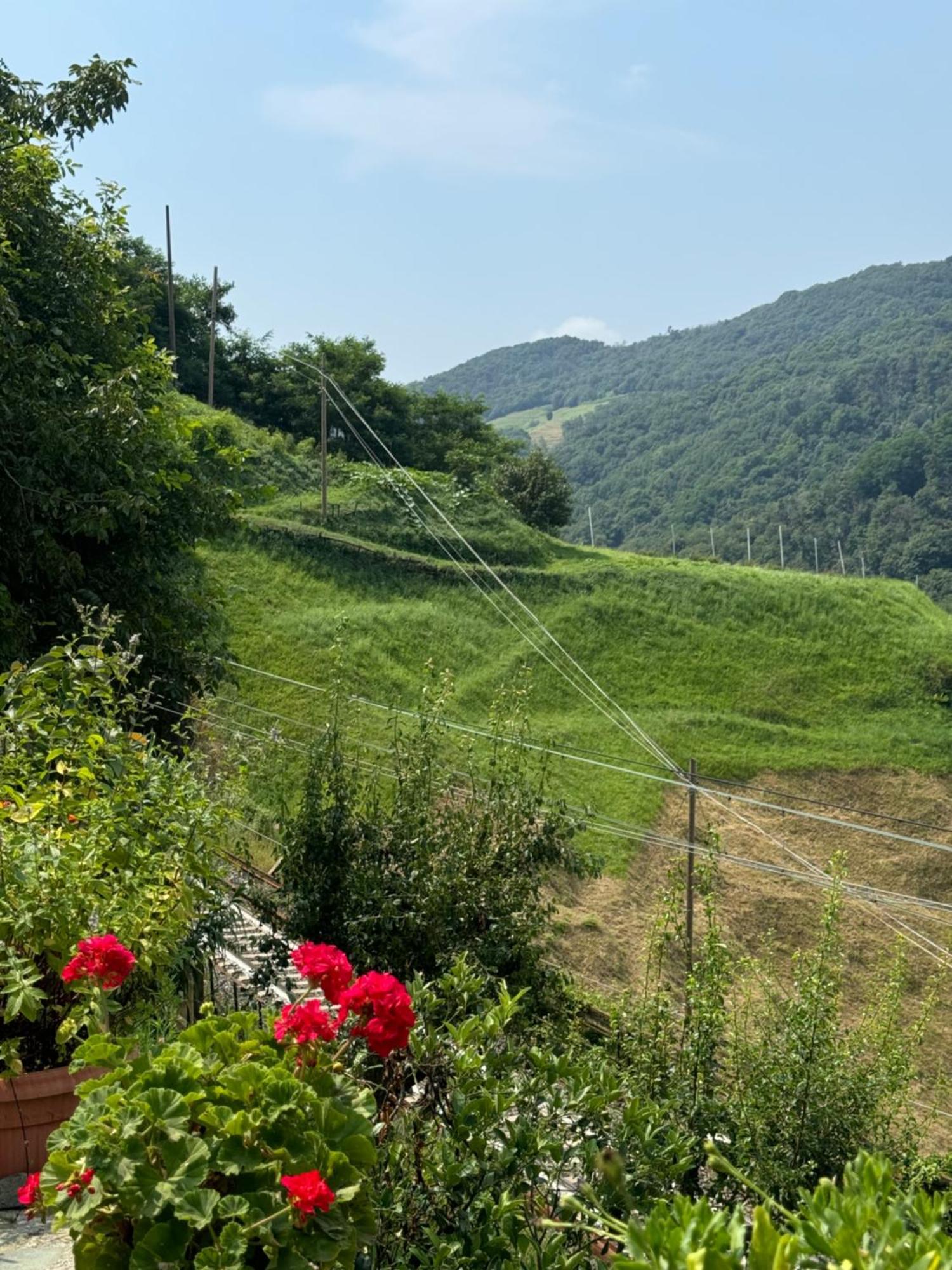 B&B Al Ciliegio Del Turchino メーレ エクステリア 写真