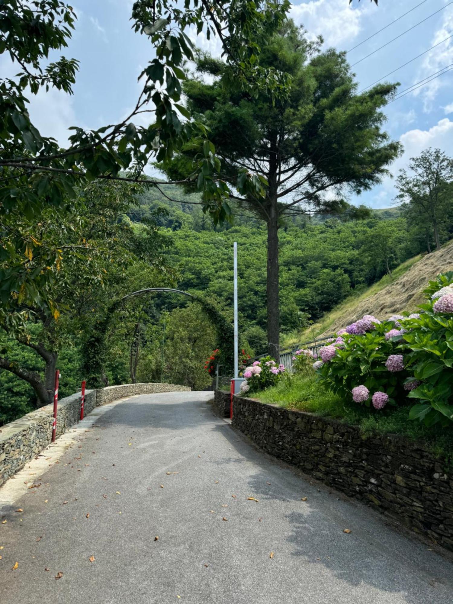 B&B Al Ciliegio Del Turchino メーレ エクステリア 写真